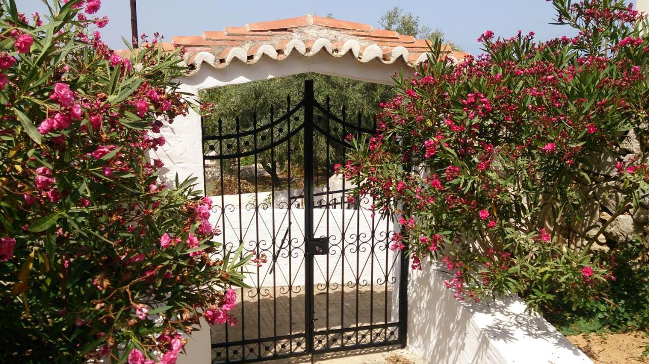 Villa Orizontes Спетсес Номер фото
